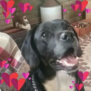 Meet your Posher, Jenny